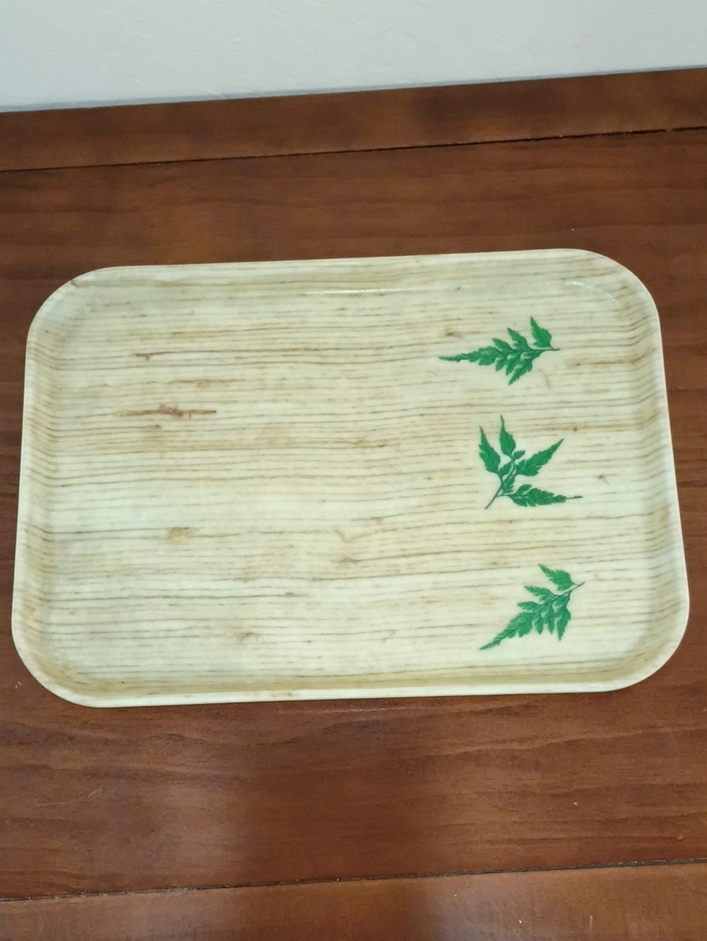 Cambro Camtray Fiberglass Serving Tray - MCM Vintage!